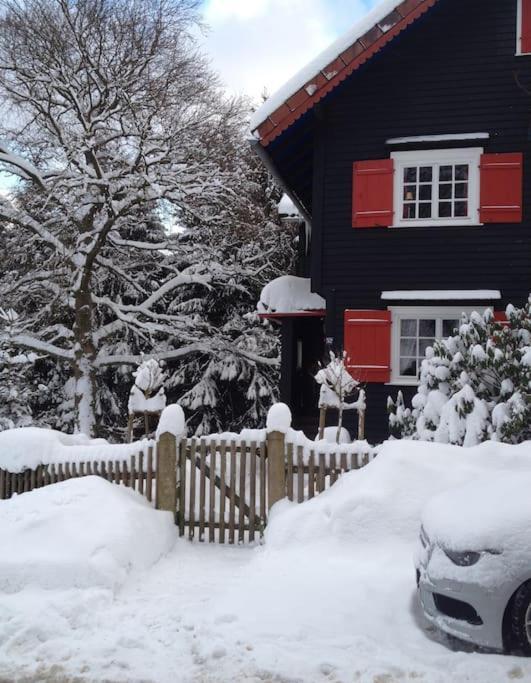 Villa Herzog - Ferienhaus Fuer 6 Personen In Braunlage, Harz المظهر الخارجي الصورة