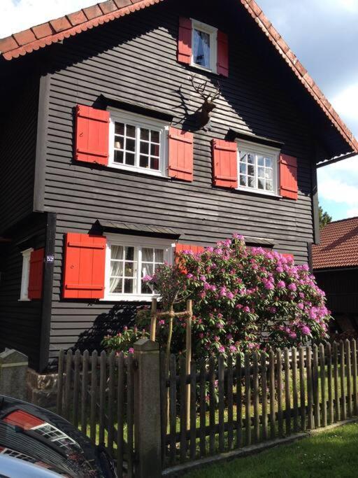 Villa Herzog - Ferienhaus Fuer 6 Personen In Braunlage, Harz المظهر الخارجي الصورة